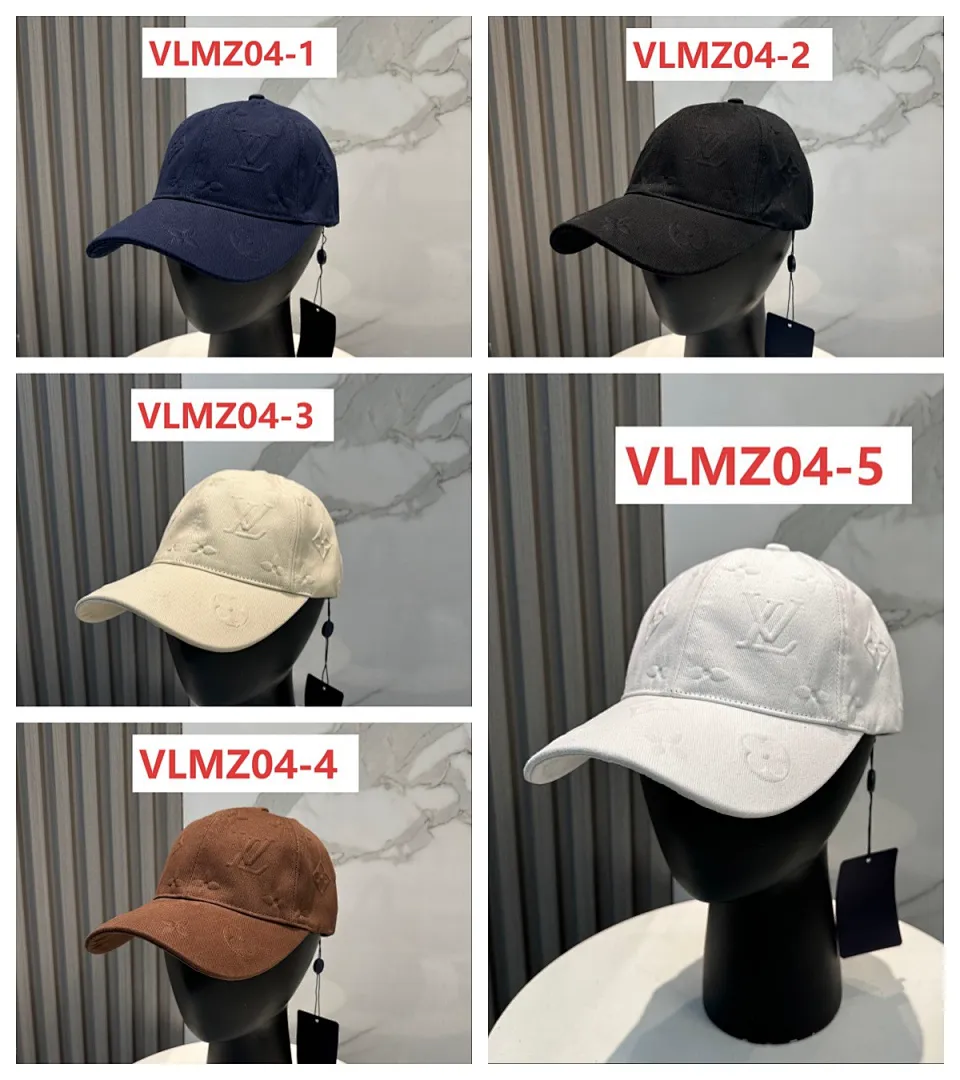 LV VLMZ04 תמונה 2