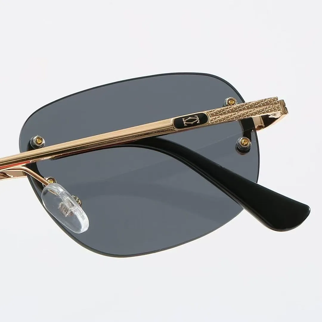 Cartier W1Z5 תמונה 3