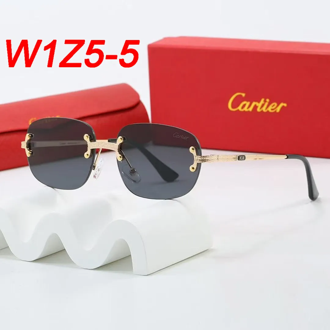 Cartier W1Z5 תמונה 4