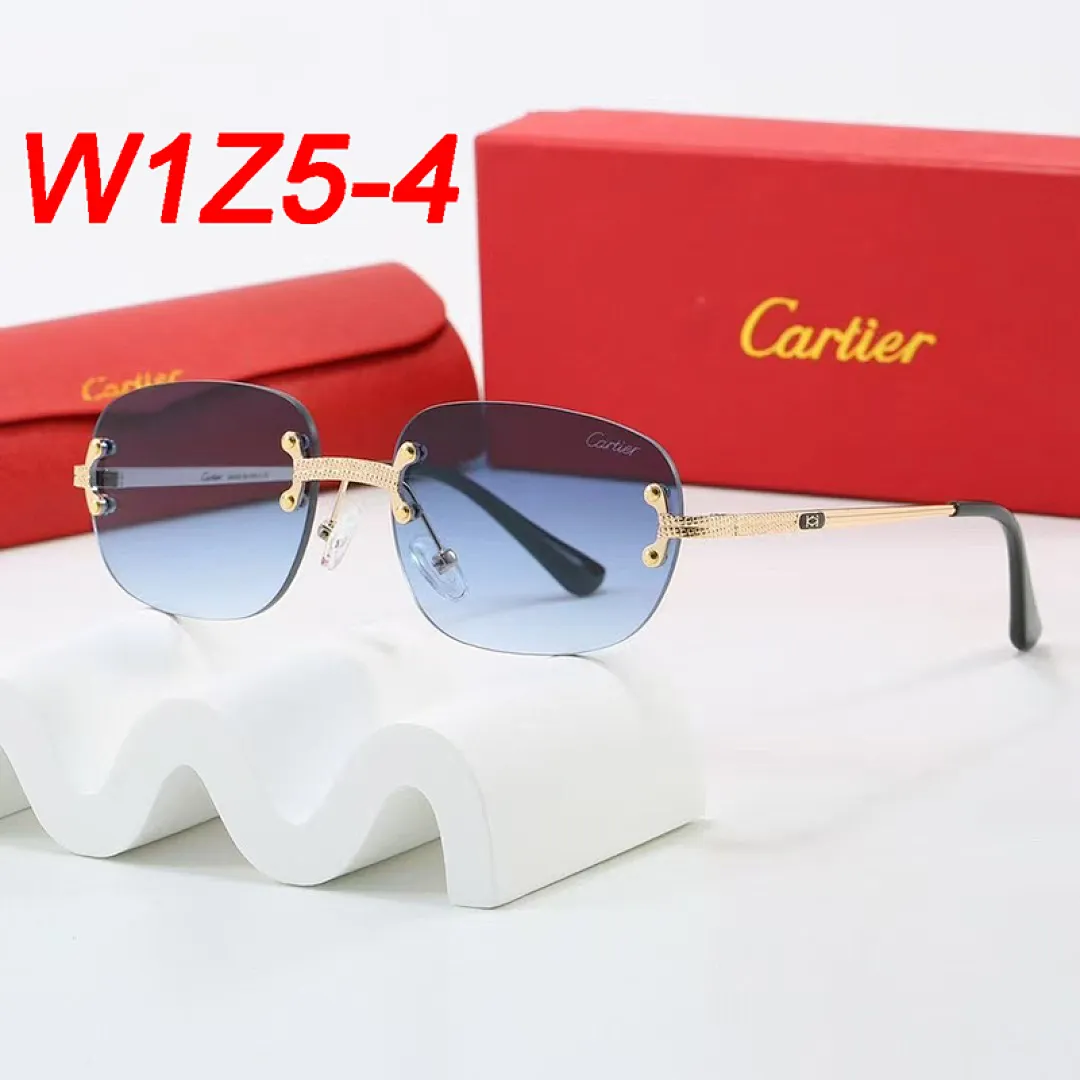 Cartier W1Z5 תמונה 5
