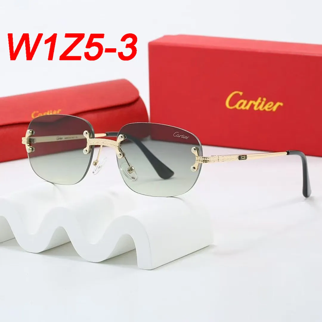 Cartier W1Z5 תמונה 6