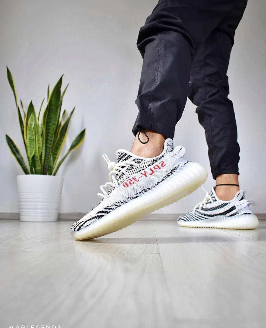 Adidas W625E תמונה 4