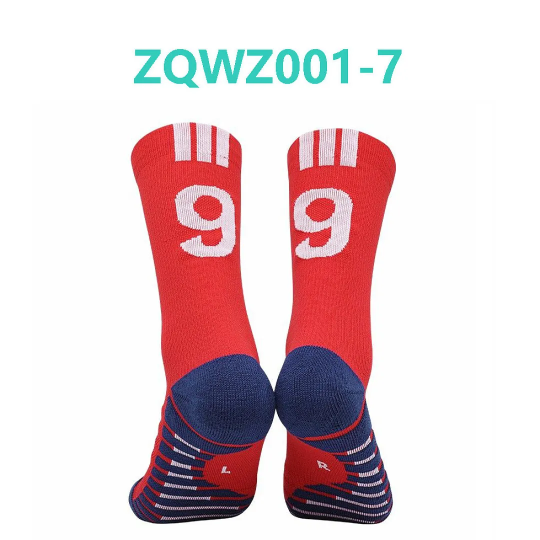 Other ZQWZ001 תמונה 17