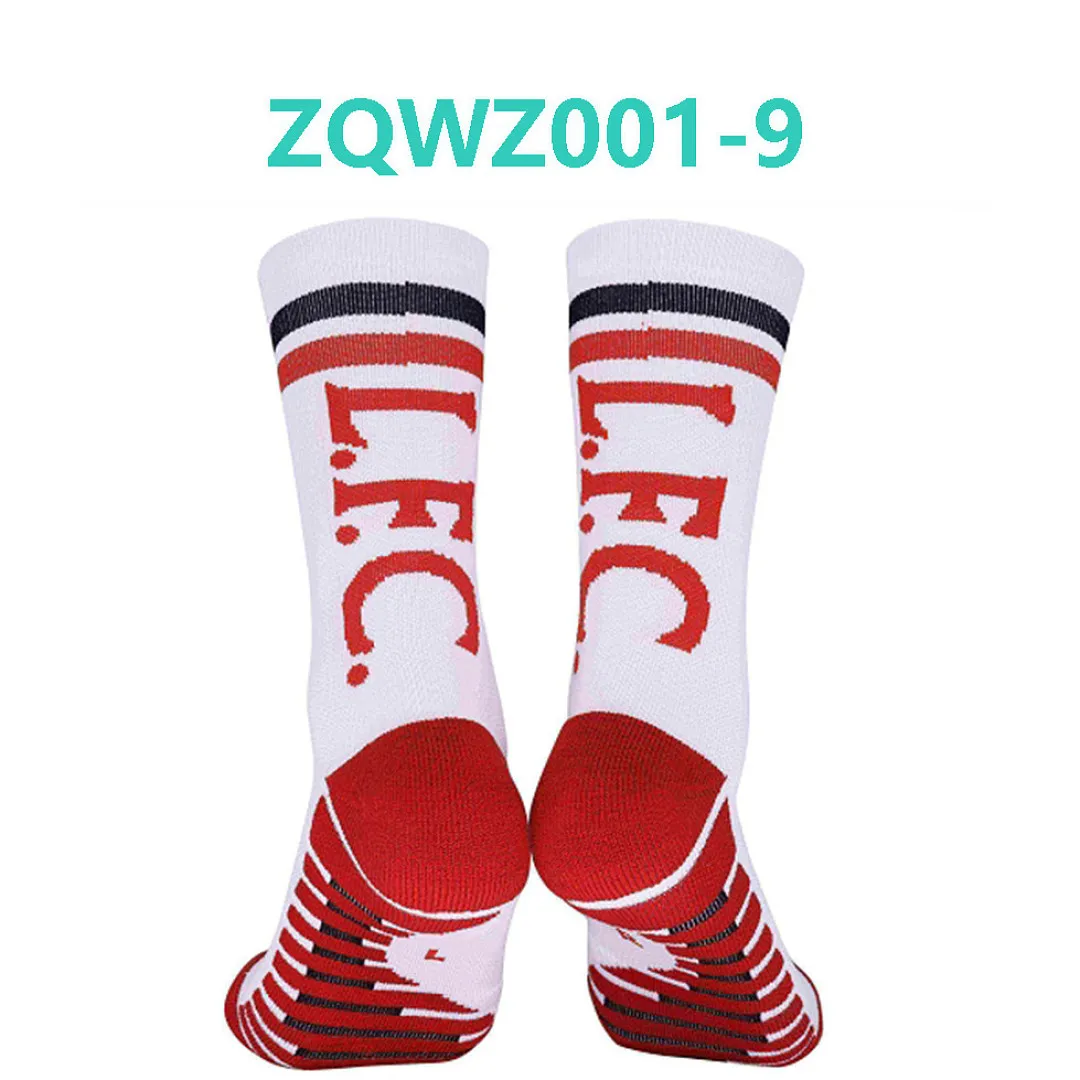 Other ZQWZ001 תמונה 19